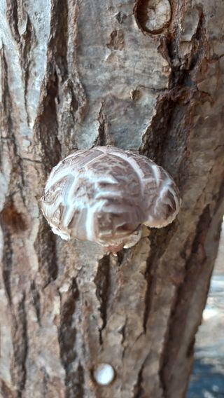 파란농원님의 작성글 사진