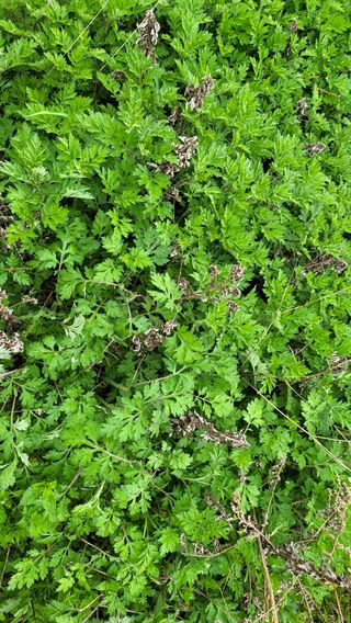 김향미님의 자유주제 · 자유게시판 작성글 사진