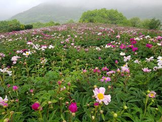 이호성님의 기타작물 · 자유게시판 작성글 사진