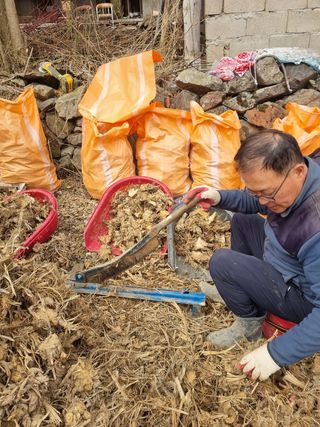 이호성님의 기타작물 · 자유게시판 작성글 사진