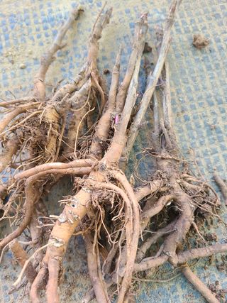 이호성님의 기타작물 · 자유게시판 작성글 사진