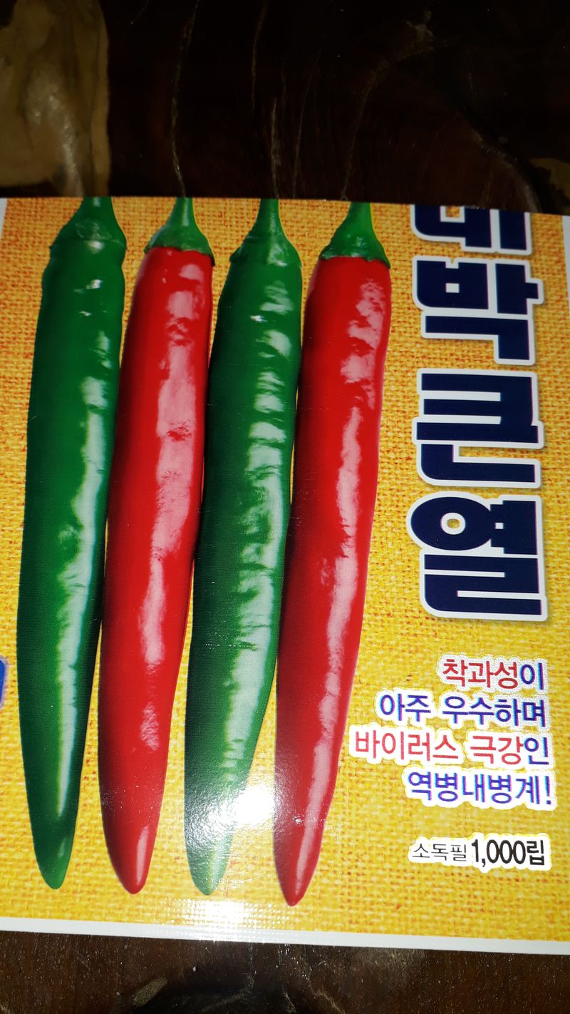 장터 상품 [고추모종대박큰열] 썸네일
