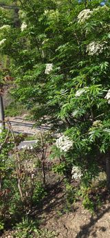 팜모닝 자유주제·자유게시판 게시글 이미지