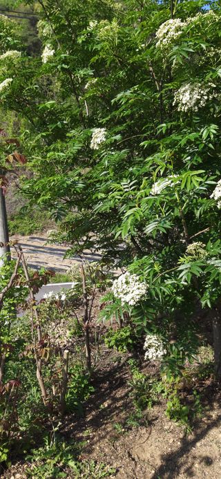 김해숙님의 자유주제 · 자유게시판 작성글 사진