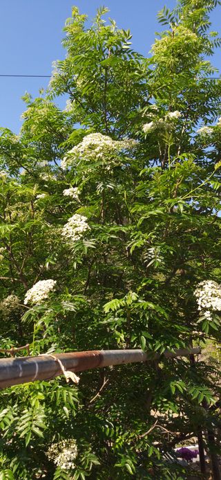 김해숙님의 자유주제 · 자유게시판 작성글 사진