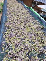 팜모닝 우리동네·동네자랑 게시글 이미지