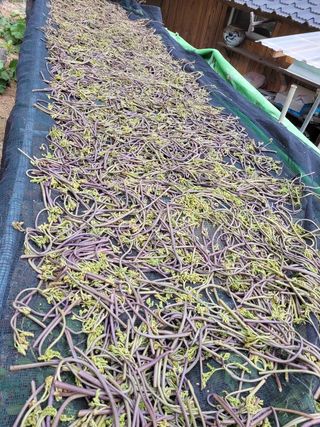 김금자님의 우리동네 · 동네자랑 작성글 사진