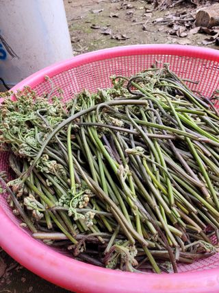 김금자님의 우리동네 · 동네자랑 작성글 사진