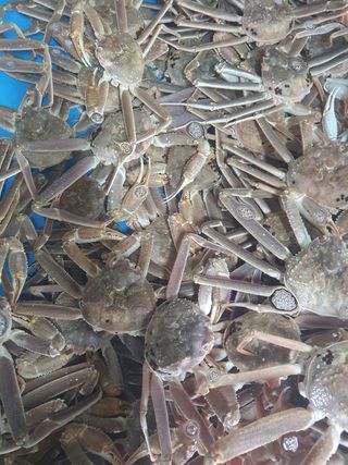 노가네수산님의 우리동네 · 동네정보 작성글 사진