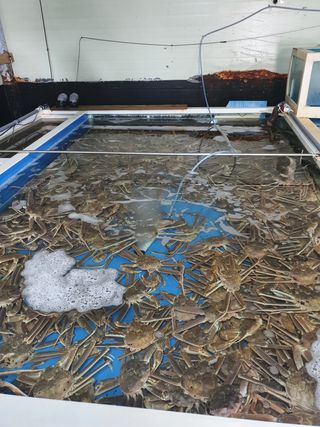 노가네수산님의 우리동네 · 동네정보 작성글 사진