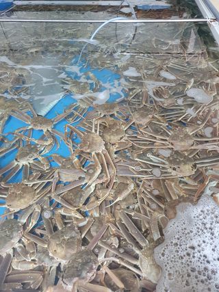 노가네수산님의 우리동네 · 동네정보 작성글 사진