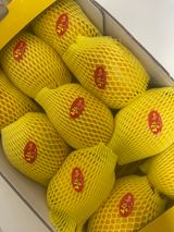 팜모닝 장터이야기·자유게시판 게시글 이미지