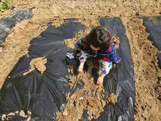 연모 자연의행복님의 기타작물 · 자유게시판 작성글 사진