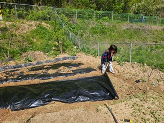 연모 자연의행복님의 기타작물 · 자유게시판 작성글 사진
