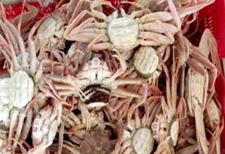 노가네수산님의 우리동네 · 동네정보 작성글 사진