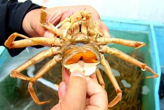 노가네수산님의 우리동네 · 동네정보 작성글 사진