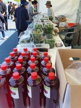 팜모닝 블루베리·자유게시판 게시글 이미지