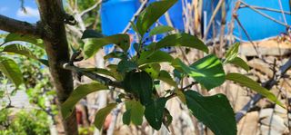 박필진님의 기타작물 · 자유게시판 작성글 사진