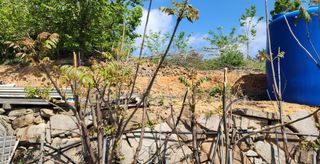 박필진님의 기타작물 · 자유게시판 작성글 사진
