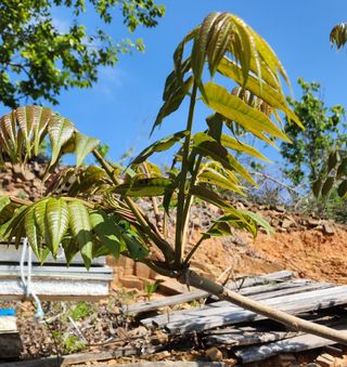 박필진님의 기타작물 · 자유게시판 작성글 사진