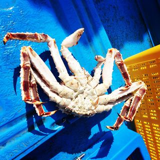 노가네수산님의 장터이야기 · 자유게시판 작성글 사진