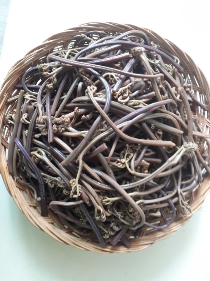 이경숙님의 장터 판매 상품 [건 고사리 팝니다... ] 첨부 사진