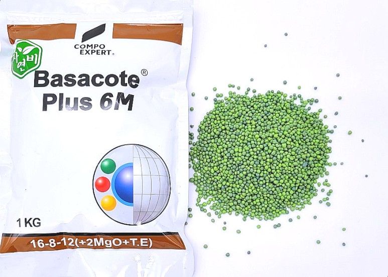 장터 상품 [바사코트 6개월 25kg ] 썸네일