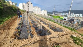 김광대님의 자유주제 · 자유게시판 작성글 사진