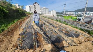 김광대님의 자유주제 · 자유게시판 작성글 사진