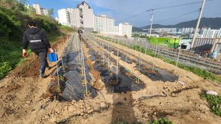 김광대님의 자유주제 · 자유게시판 작성글 사진