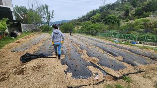김광대님의 자유주제 · 자유게시판 작성글 사진