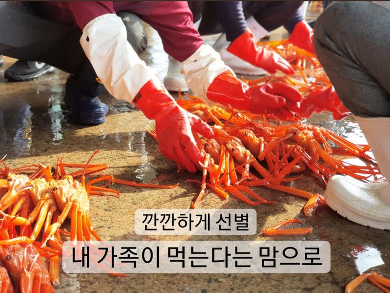 노가네수산님의 장터 판매 상품 [동해안 홍게] 푸짐하게 맛좋은 살찬 홍게 4kg] 첨부 사진