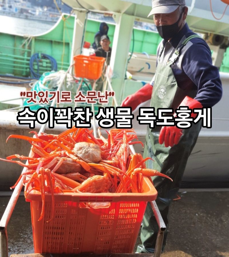 장터 상품 [속이꽉찬 생물 "독도홍게" 3미 5미] 썸네일