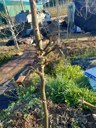 정규상님의 자유주제 · 자유게시판 작성글 사진