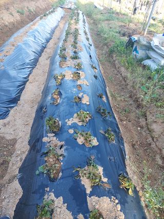 정규상님의 자유주제 · 자유게시판 작성글 사진