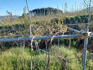 정규상님의 자유주제 · 자유게시판 작성글 사진