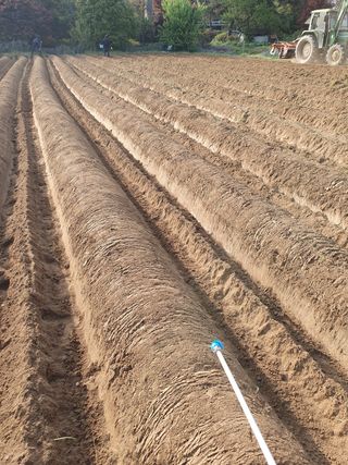 김종은님의 참깨 · 자유게시판 작성글 사진