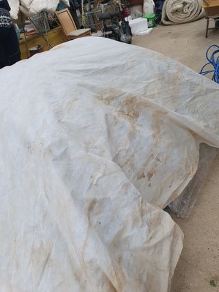 김종은님의 고추 · 품종•종자 작성글 사진