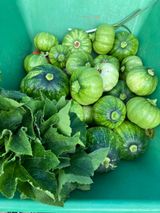 팜모닝 장터이야기·자유게시판 게시글 이미지