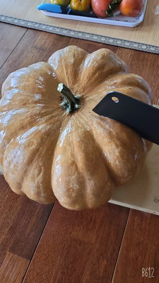 코지뱅이김영선님의 장터이야기 · 자유게시판 작성글 사진