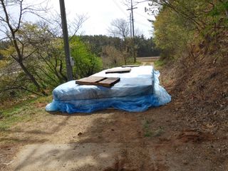 박태현님의 벼 · 자유게시판 작성글 사진