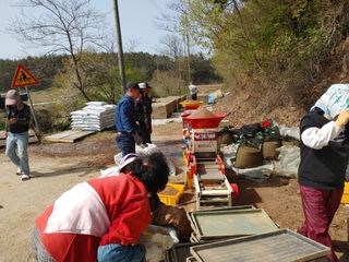 박태현님의 벼 · 자유게시판 작성글 사진