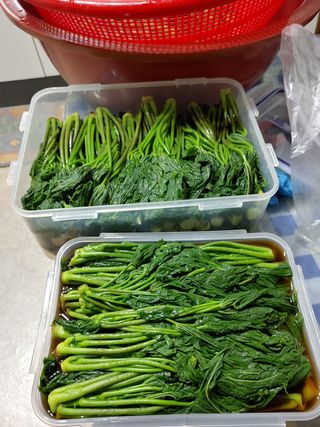 이연화님의 옥수수 · 자유게시판 작성글 사진