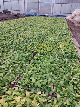 전용표님의 작성글 사진