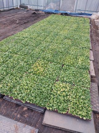 전용표님의 작성글 사진