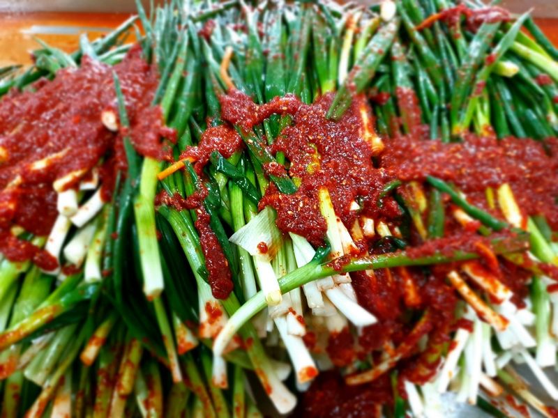 새움푸드님의 장터 판매 상품 [직접 농사지은 쪽파김치] 첨부 사진