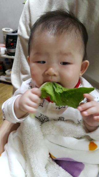 농민님의 장터이야기 · 자유게시판 작성글 사진