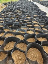 팜모닝 기타작물·자유게시판 게시글 이미지