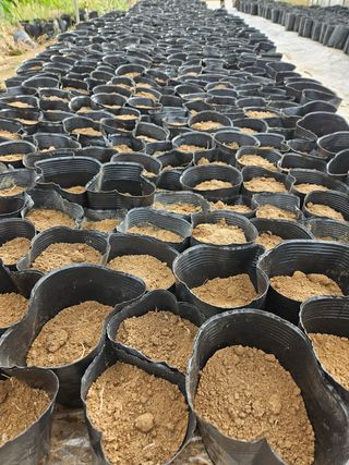 농업회사법인무지개주식회사님의 기타작물 · 자유게시판 작성글 사진