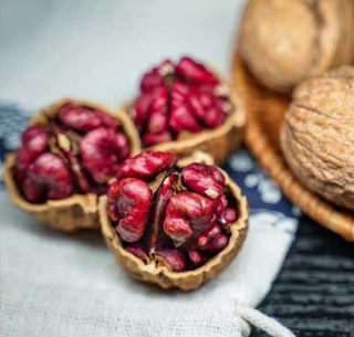 농업회사법인무지개주식회사님의 기타작물 · 자유게시판 작성글 사진